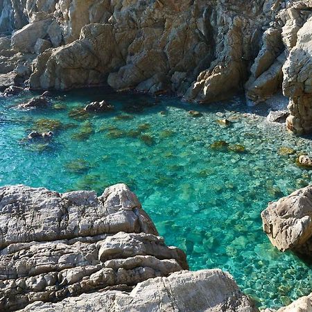 Il Cuore Di Moneglia - Moneglia Apartments 外观 照片