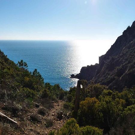 Il Cuore Di Moneglia - Moneglia Apartments 外观 照片