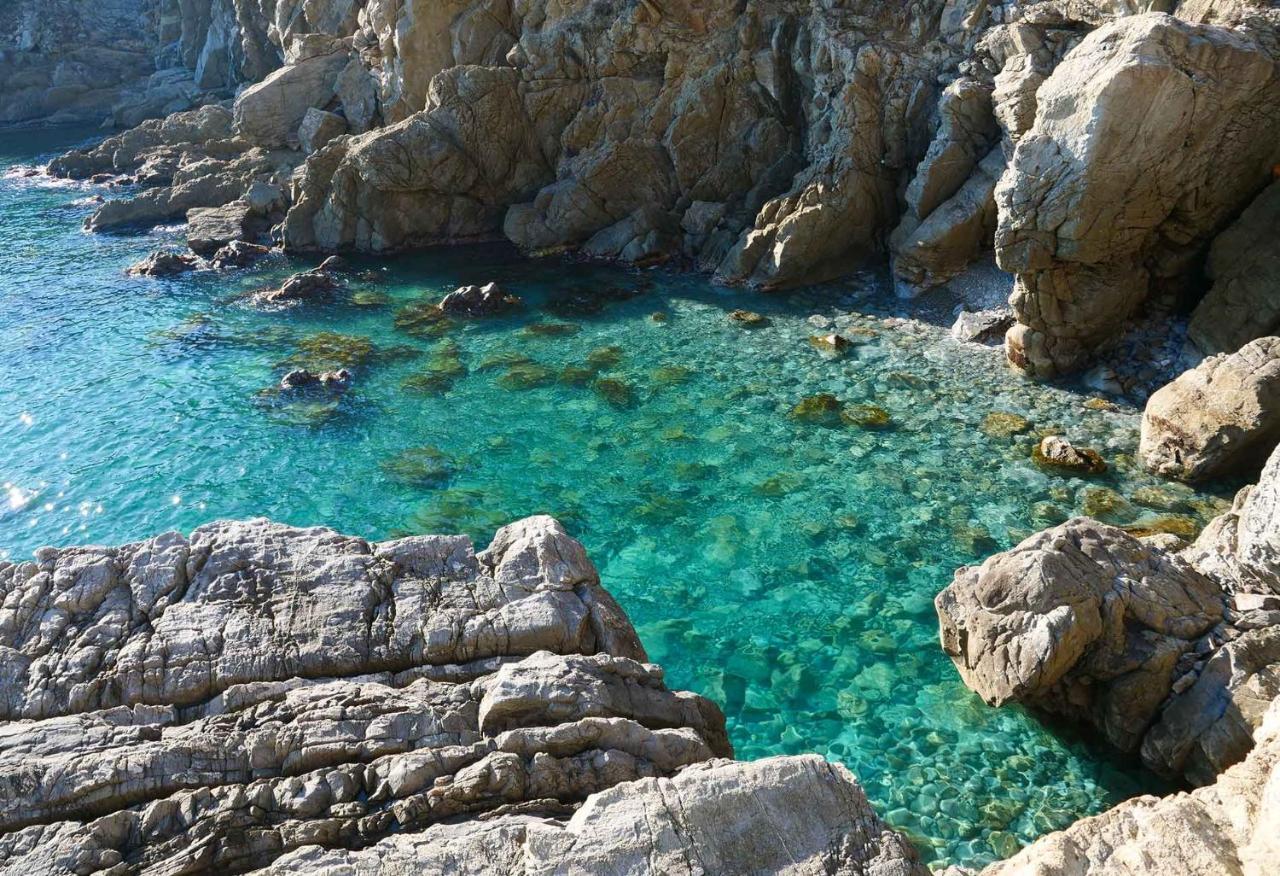Il Cuore Di Moneglia - Moneglia Apartments 外观 照片