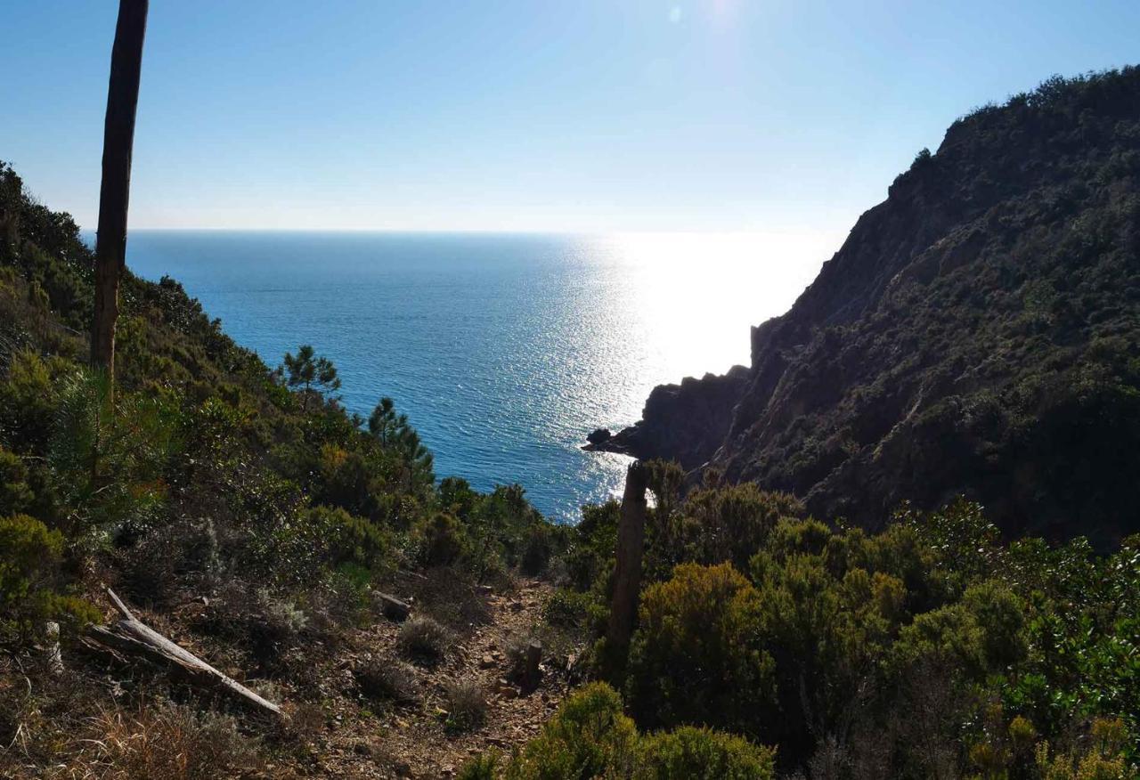 Il Cuore Di Moneglia - Moneglia Apartments 外观 照片