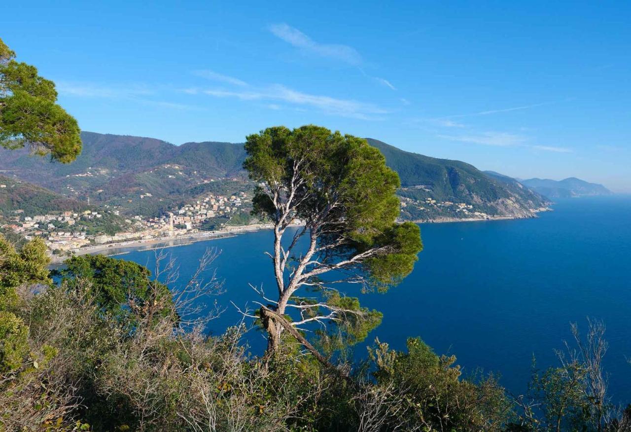 Il Cuore Di Moneglia - Moneglia Apartments 外观 照片